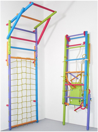 Домашній спорткомплекс з рукоходом і сіткою